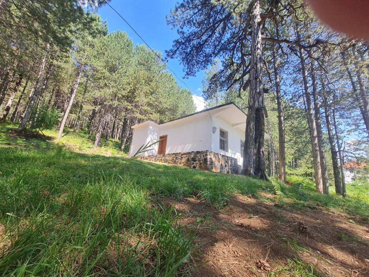 Bujtinat Skenderi Gjinar 2 Villa Eksteriør bilde