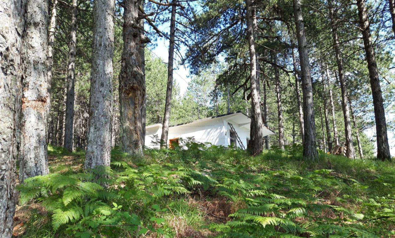 Bujtinat Skenderi Gjinar 2 Villa Eksteriør bilde