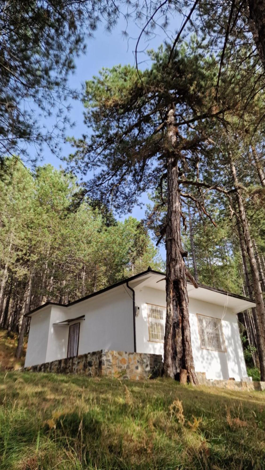 Bujtinat Skenderi Gjinar 2 Villa Eksteriør bilde