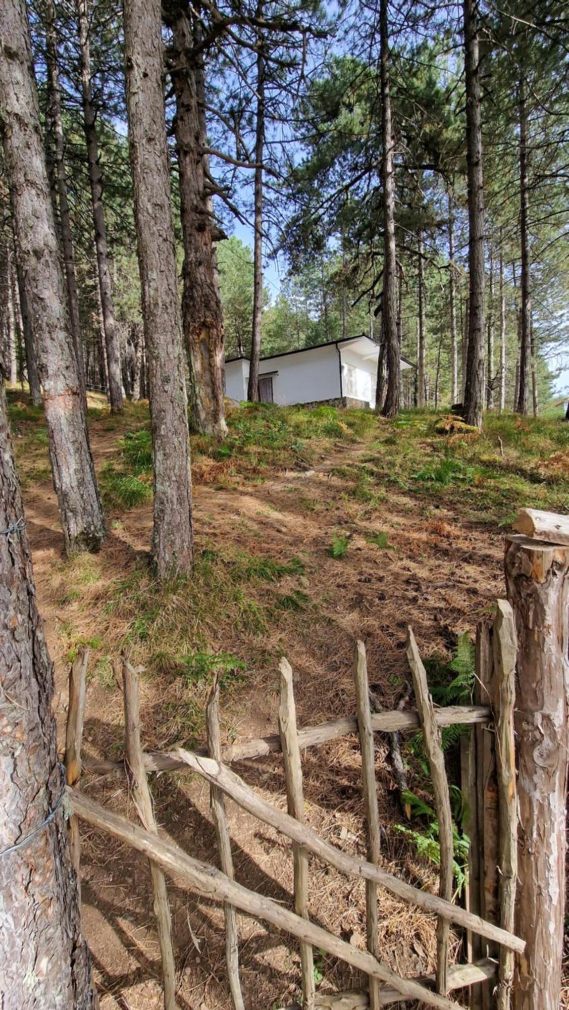 Bujtinat Skenderi Gjinar 2 Villa Eksteriør bilde