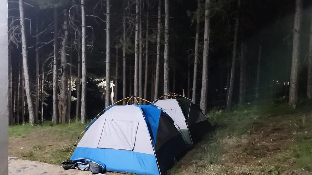 Bujtinat Skenderi Gjinar 2 Villa Rom bilde