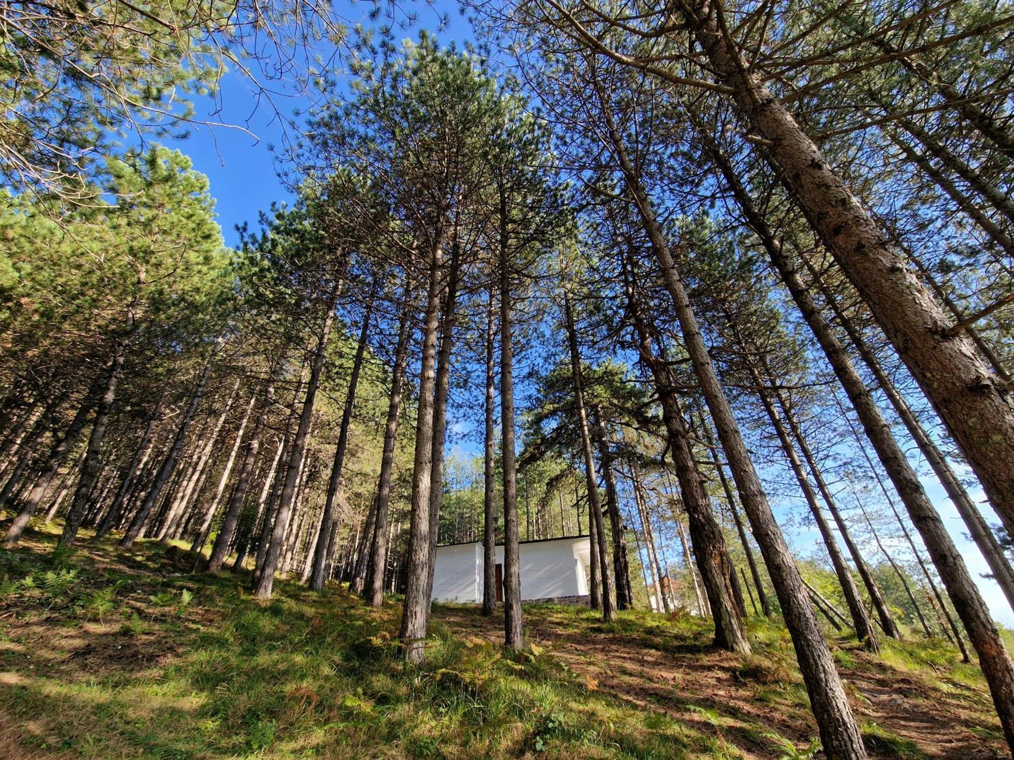 Bujtinat Skenderi Gjinar 2 Villa Rom bilde